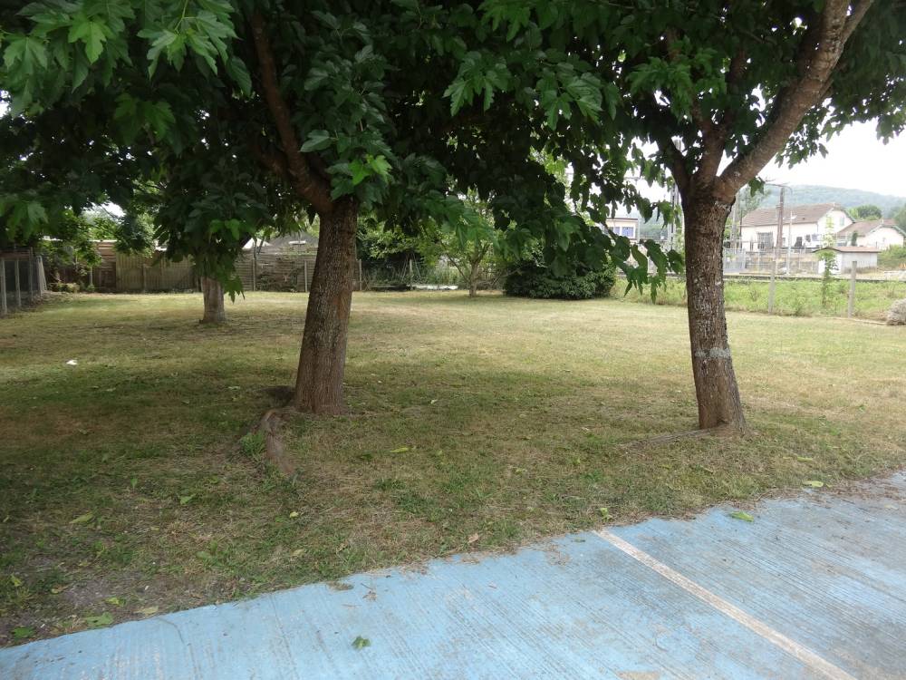 DSC02995